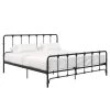 Alicia Farmhouse Black Metal King Bed by DHP
