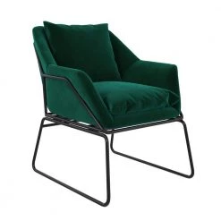 Ari Green Velvet Upholstered Accent Chair by DHP