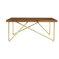 Rectangular Haze Finish Wood Coffee Table with Brass Metal Base (42 in. W x 17.25 in. H) by Home Decorators Collection