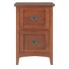 Artisan Medium Oak 2 Drawer File Cabinet by Home Decorators Collection