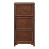 Bradstone 3 Drawer Walnut File Cabinet by Home Decorators Collection